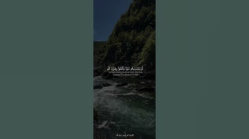 عبق من تلاوات الشيخ محمد أيوب رحمه الله #رمضان #المصحف #اكسبلور