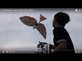 RC Ornithopter -VN 10-2015