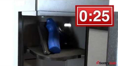 SentrySafe Home Defense Center 60 Second Video