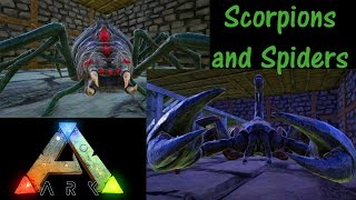 Pulmonoscorpius And Araneo Giant Spider Educational Special 9