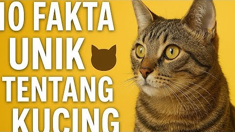 10 Fakta Unik Tentang Kucing 🐱 | Bikin Kamu Makin Sayang Sama Kucing!