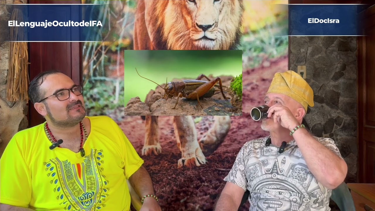 ODUN IRETE MELLI, EL LENGUAJE OCULTO DE IFA.