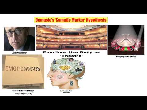 16) Damasio&rsquo;s &rsquo;Somatic Marker&rsquo; Hypothesis