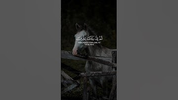 سعود الشريم يتحدث عن عظمة القرآن الكريم تهتز له القلوب – لا تفوّت هذا المقطع