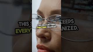 Creating a To-Do List Application in MS Access