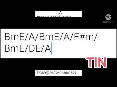 คอร์ดเพลงพิษรักพิษณุโลก หนูมิเตอร์