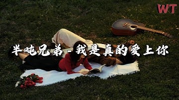 半吨兄弟 - 我是真的爱上你『只能偷偷看着你，总是没勇气，总是说不出我是真的爱上你。』【动态歌词MV】