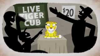 Say "NO" to Cub Petting