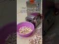 Hta semiautomatic garlic peeler machine