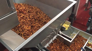 Snack Food Blending System (Gravimetric) | KMG Vibratory Conveyor Line