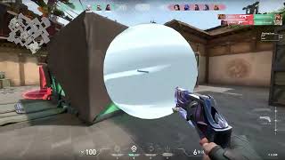 Insane Collateral Ace
