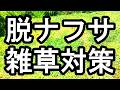 脱ナフサ　雑草対策
