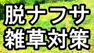 脱ナフサ　雑草対策