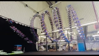 Famous On-Manifold Model Predictive Control for Trajectory Tracking on Robotic Systems Net Worth