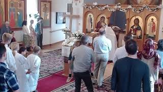 Divine Liturgy of the Holy Myrrhbearing Women @ Holy Trinity (05/19/24)