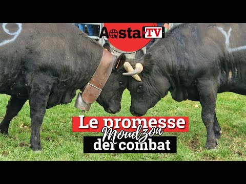 Moudzon: la battaglia tra le giovani promesse delle Reines