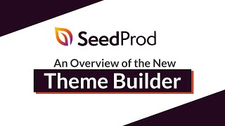 SeedProd Theme Builder Overview screenshot 3