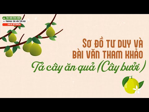 Video [TẢ CÂY CỐI] - Dàn ý bằng sơ đồ tư duy và bài văn mẫu... - youtube