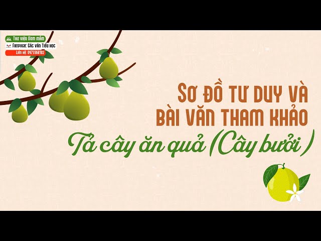 Sơ đồ tư duy tả cây xoài - Hướng dẫn chi tiết và dễ hiểu cho học sinh