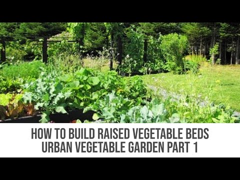 urban vegetable garden part
