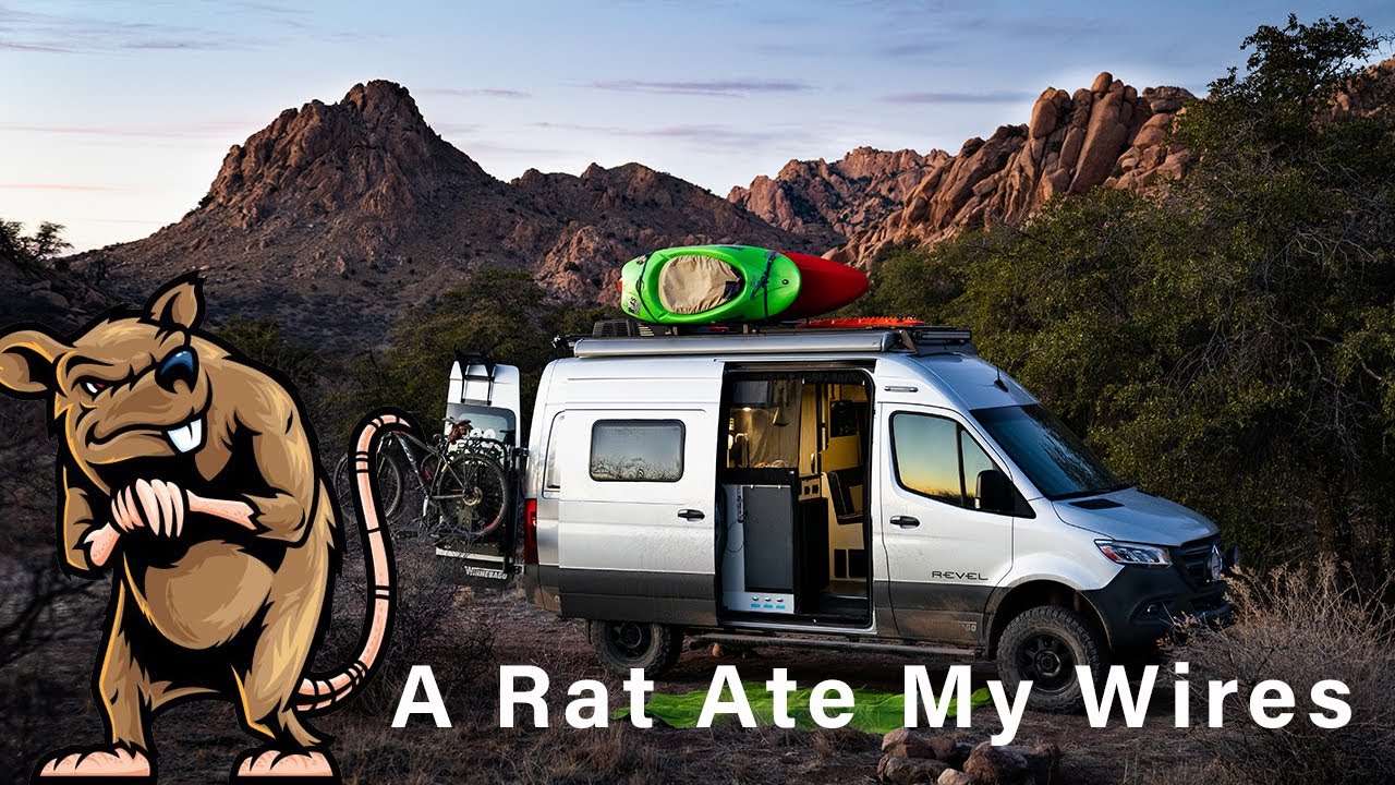A Rat Ate My Wires in my 4x4 Sprinter Van - YouTube