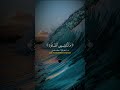 Allha is most merciful #islmicvideo #viral #foryou