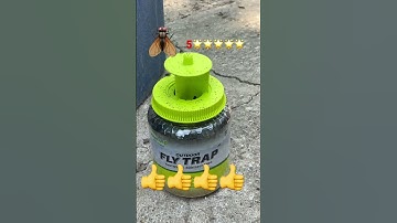 Fly trap (it works )