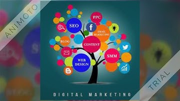 web design company in erode