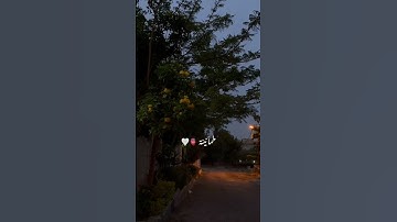 قَالَ لَا تَخَافَآ ۖ إِنَّنِى مَعَكُمَآ أَسْمَعُ وَأَرَىٰ / سورة طه /القارئ محمد ديبيروف ♥️.