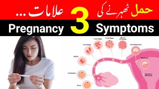 Top 3  Pregnancy Symptoms |Pregnancyki alamat |Hamla hone ki Nishani |implantation ki alamat #pregno