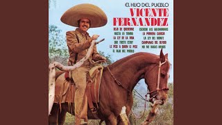 Video thumbnail of "Vicente Fernández - La Ley de la Vida"