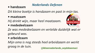 Bijvoeglijke Naamwoorden In Het Nederlands Die Eindigen Op zaam  Nederlands Leren  Learn Dutch