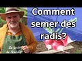 Comment russir les semis de radis 