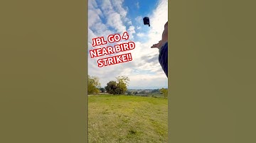 JBL go 4 nearly caught it!