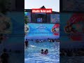 Best water park in delhi trending waterpark masti fun shorts travel2recharge