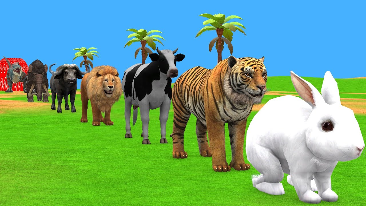Long Slide Game with Cow Elephant Gorilla Hippopotamus Tiger 3d Animal Game Funny 3d Animals