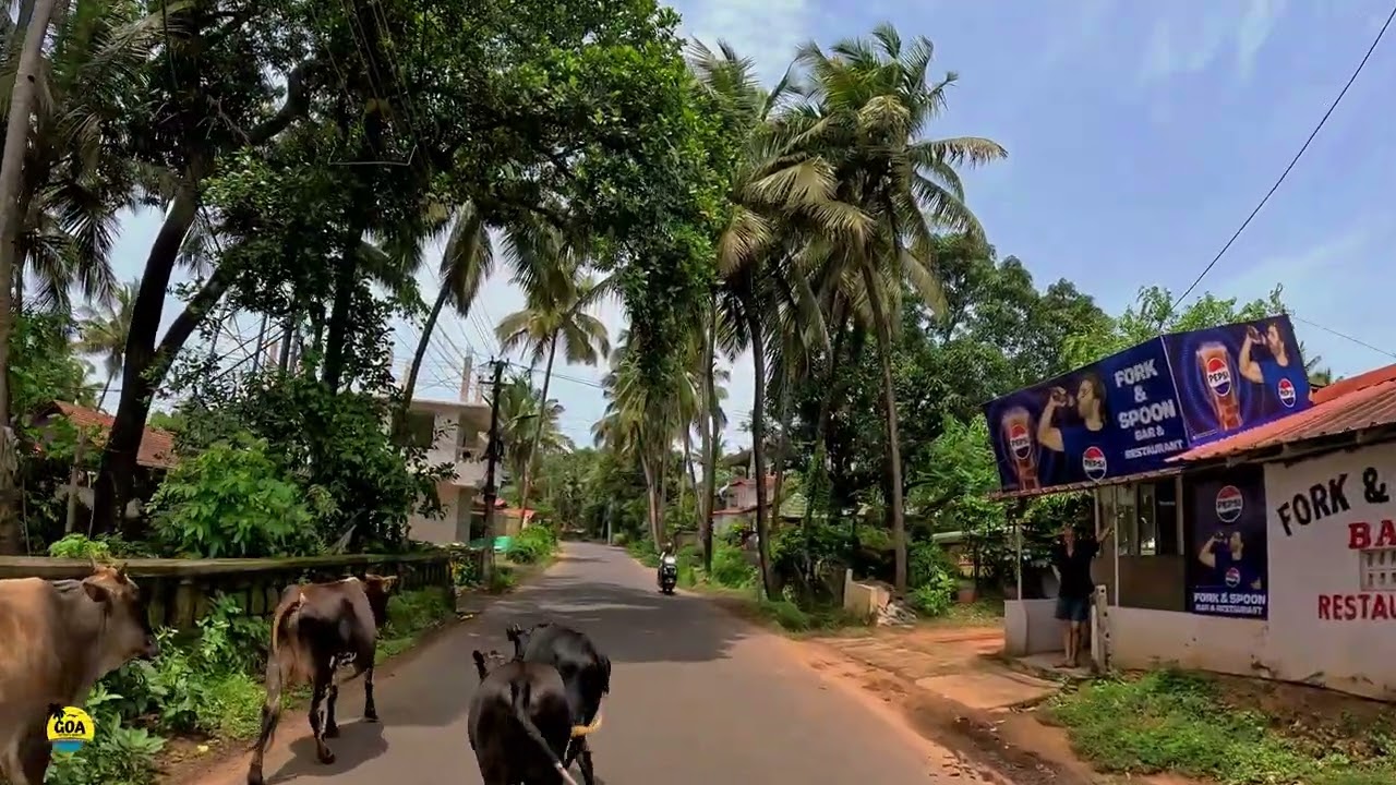 South Goa Vibes | Goa on wheels | GOA Edu's World