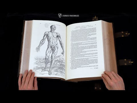 Video: Vesalius Andreas: Biografie, Karriere, Privatleben