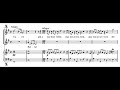 Caro! Bella! Più amabile beltà (Giulio Cesare - G.F. Händel) Score Animation