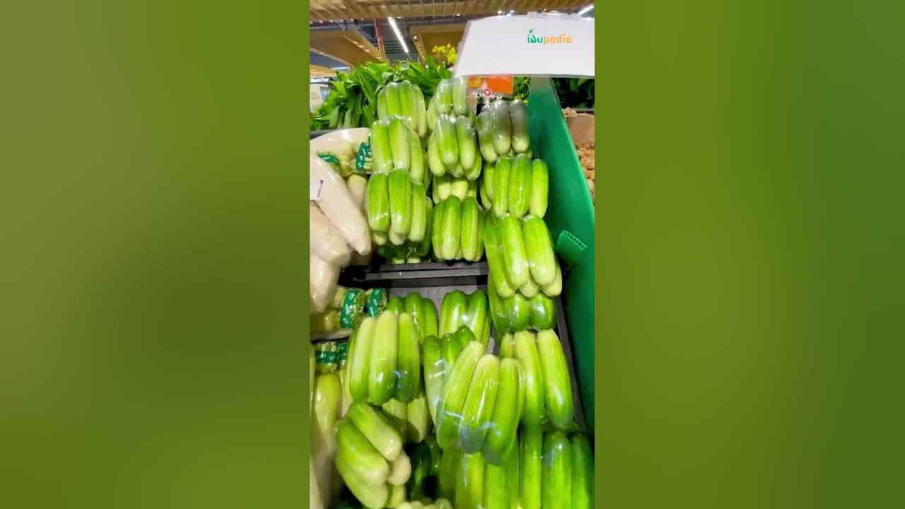 Mau Anak Suka Sayur? Coba 5 Sayur Yang Paling Digemari Anak (Versi Ibumin)