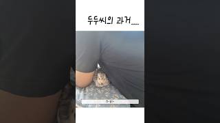 두두씨가 되기까지...