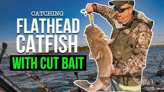 Catching Flathead Catfish With Cut Bait