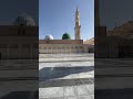 القبه الخضراء بمسجد سيدنا رسول الله صلي الله عليه وعلي آله وصحبه وسلم حياة الروح ونور القلوب القبه الخضراء بمسجد سيدنا رسول الله صلي الله عليه وعلي آله وصحبه وسلم حياة الروح ونور القلوب