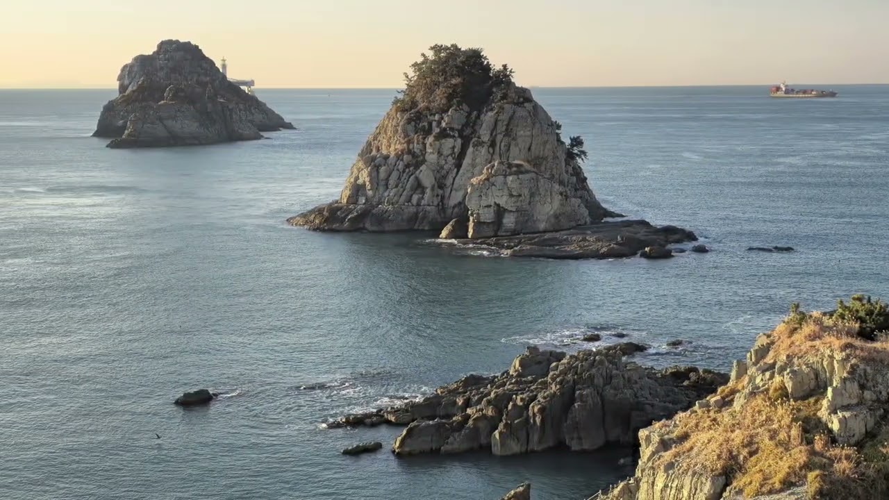 부산 오륙도 스카이워크 (Busan Oryukdo Skywalk)