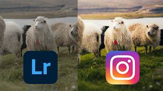 EDIT Like a INSTAGRAM Photographer in Lightroom screenshot 4