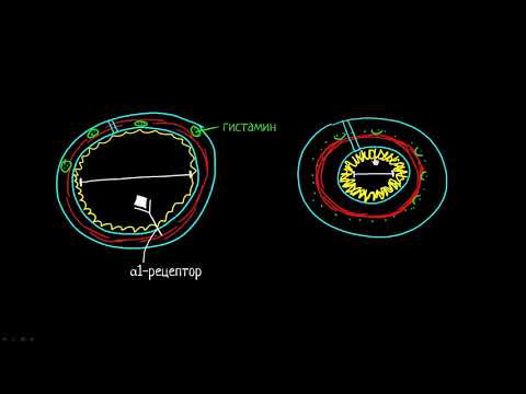 Video: Smanjenje Napadaja Astme U Djece Koja Koriste Izdvojeni Dušikov Oksid Kao Biomarker Za Informiranje O Strategiji Liječenja: Randomizirano Ispitivanje (RAACENO)