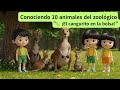 🦘 Canguro# 아기 캥거루는 주머니 속에서!"#Conociendo 10 animales del zoológico!#child365