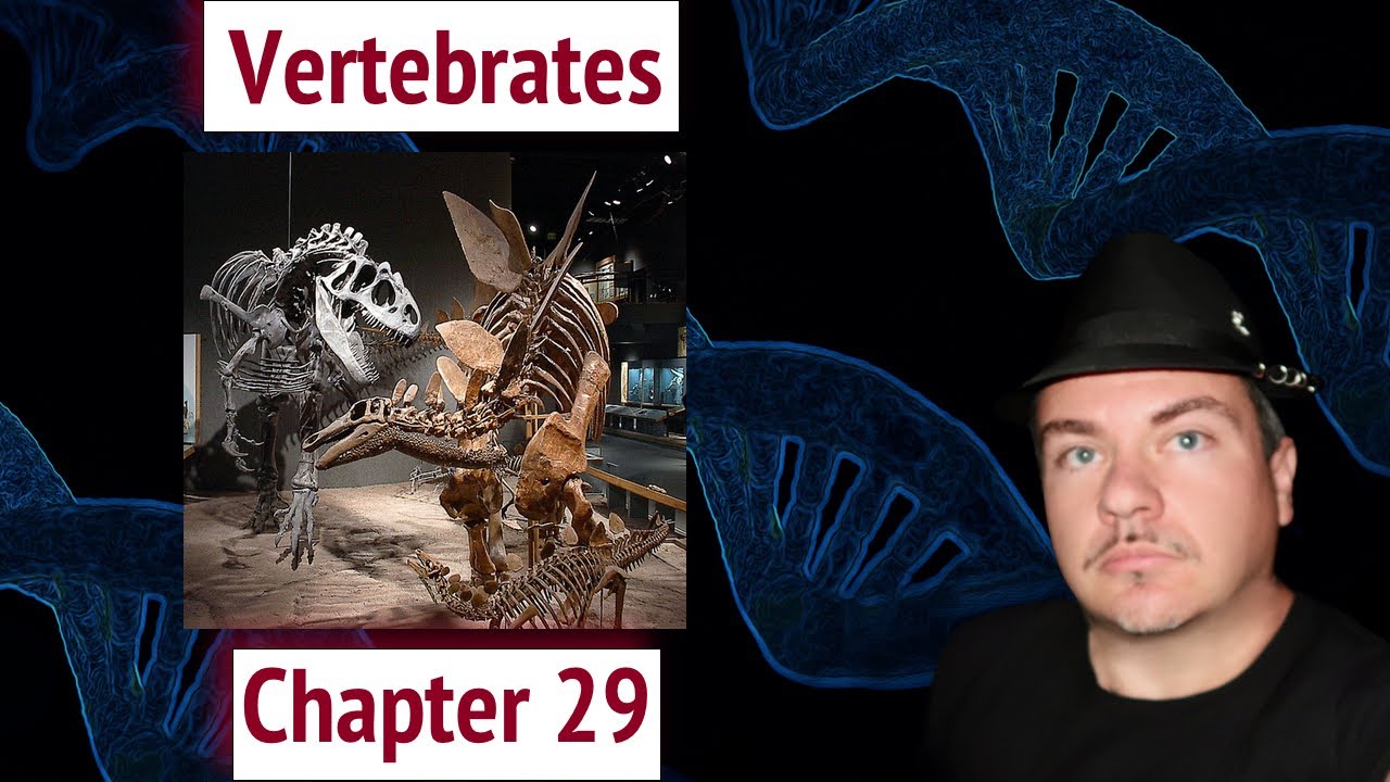 Vertebrates