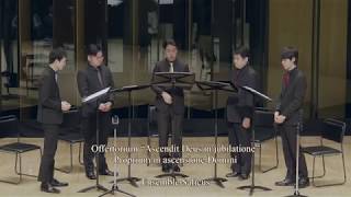 Gregorian chant : Offertorium "Ascendit Deus in jubilatione" / Ensemble Salicus