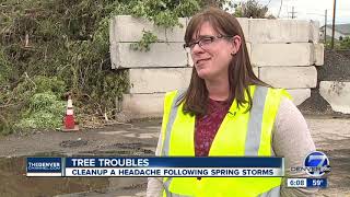 Homeowners struggle to get rid of tree limbs after spring storms